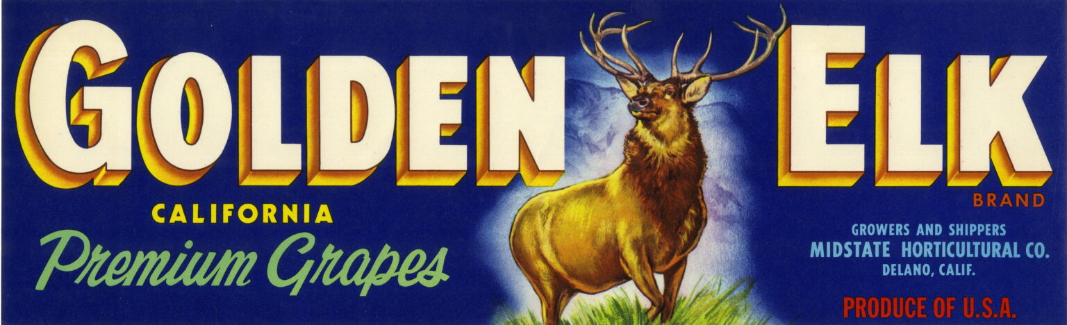 Golden Elk